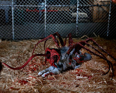 Neca 7″Scale The Thing Ultimate Dog Creature Action Figure In Stock