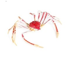 Spider Crab Sea Animal Toy PVC Action Figure Kids Toys Toddler Party Gifts