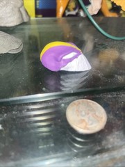 Custom The Maxx Head Pointy Teeth 1/6 Scale Painted With Homeless Cap