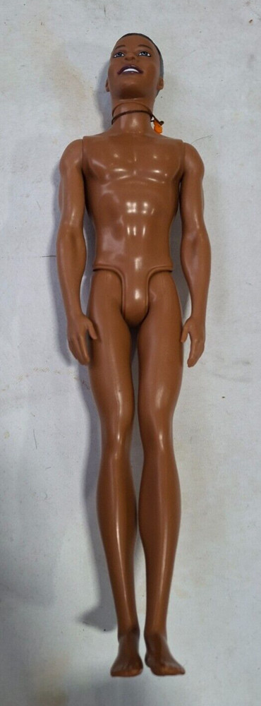 2010 Mattel Barbie’s Friend Steven Doll Indonesia – 70
