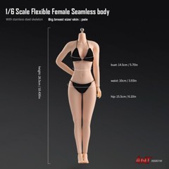 US 1:6 Pale Skin Large Bust Breast 12″ Female Seamless Flexible Figure Body Toys