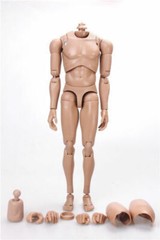1/6 MX02 B A sian Skin Muscular Man Body Male Action Figure Fit Hot Head Sculpt