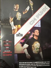 WWE Mattel Creations Ultimate Edition CM Punk ECW Exclusive AEW LJN WWF ELITE