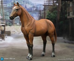 DID 1/6 Scale Brown-Red War Horse (Standing) for 12″ Figures E60082
