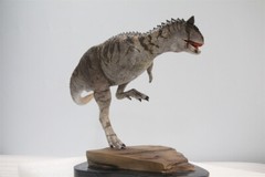 MEMORY MUSEUM 1/15 Carnotaurus Limited Edition Dinosaur Model Figure Toys Gift