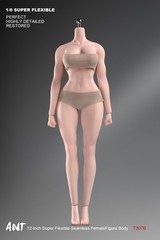 1/6 Female Natural Skin Big Bust Plump Silicone Seamless Body 12″ Action Figure