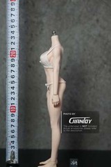 In-stock 1/6 TBLeague Phicen Short Asian Petite S24A S25B Female Body