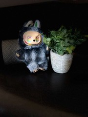 POP MART Labubu Grey V3 Secret ID Hidden Secret ID Grey Rare Labubus