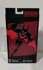 McFarlane Batman Beyond Action Animated TAS Gold Label Platinum Dc Collectibles