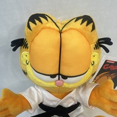 Karate Garfield Phunny Plush 8” Plush By: Kidrobot NWT