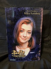 Willow Rosenberg 12″ Figure Buffy The Vampire Slayer 2004 Sideshow Sealed