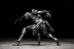 PSL SEXYiCE Vermin: Artificial Evolution B006 Ant 1/12 from JAPAN PRE ORDER