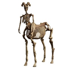 HIPLAY 101TOYS Skeleton Movable Horse Series Three Person Set 1/12 Action Figure