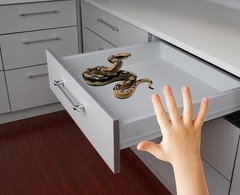 Durable Python Animal Figurine – Ideal Gift for Young Explorers & Halloween