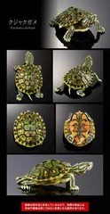 The Diversity of Life on Earth Advance Turtle 01 Figure Bandai Premium Gashapon