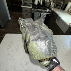Vintage 1996 Jurassic Park The Lost World T-Rex Rubber Hand Puppet No Sound