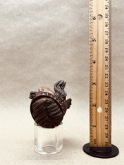 1/6 Kaustic Plastik 12″ figure MasterClass Conan Head by Inigo Gil Dario Barbera