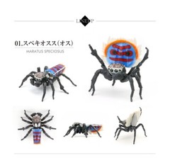 The Diversity of Life on Earth Peacok Spider Figure Bandai Capsule Toy
