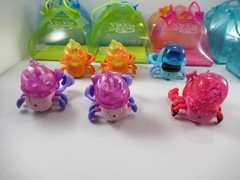 Xia-Xia Hermit Crabs And Shells Lot 2011 Cepia