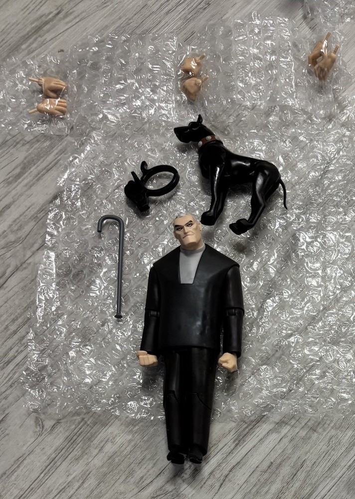 McFarlane DC Multiverse Batman Beyond Bruce Wayne & Ace Card Included Animated