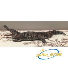 HAOLONGGOOD 1/35 Sarcosuchus Imperator Figure Crocodile Model Decor Gift Toys