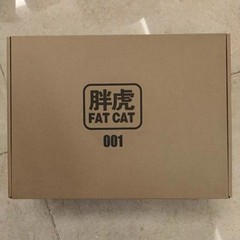 Fat Cat 1/100 Upscaled RG RX-78-2 – Model Kit