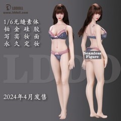 LDDOLL1/6 Silicone Flexible Seamless Figure Female Body Simplemakeup normal 28L