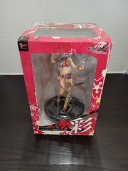 Aya Onechanbara 1/8 Scale DEJ77 SOLID WORKS Toys Works Japan MIB NEW