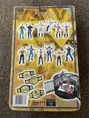 2005 WWE Jakks Pacific WrestleMania XX Champions Triple H Action Figure