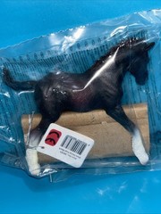 CollectA Realistic Animal Replica Shire Horse Foal Figure Medium Ages 3+ and Up