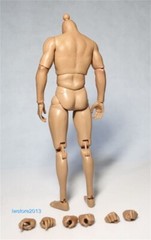 ZC Toys 1/6 Scale 12″ Muscular Male Action Figure Body For Hot Toys Head Sculpt