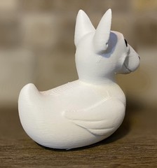 Bull Terrier Duck