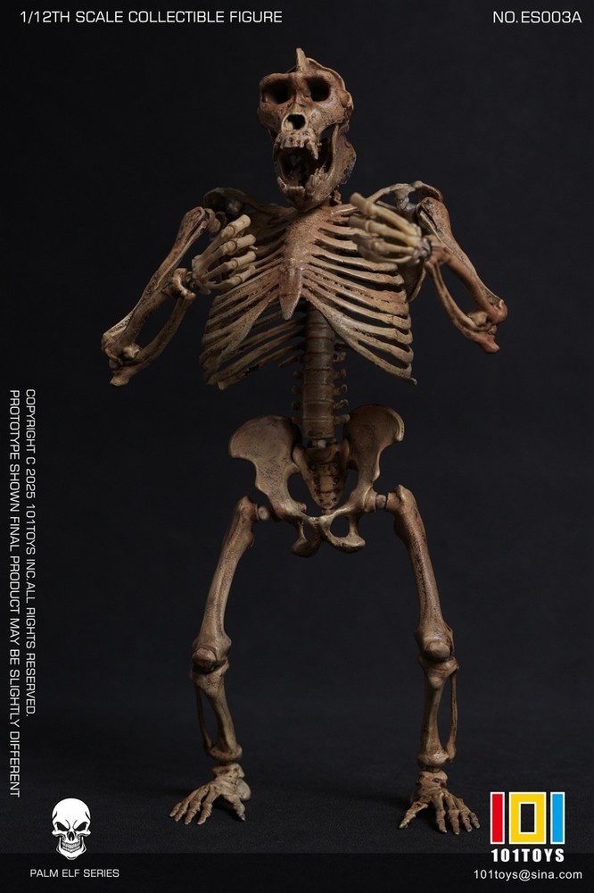 101TOYS ES003A 1/12 Original color CHIMPANZEE SKELETON FRAME BOBY Figure Toys