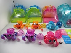 Xia-Xia Hermit Crabs And Shells Lot 2011 Cepia