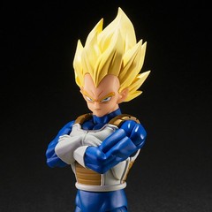 Bandai S.H.Figuarts Dragon Ball Z Super Saiyan Vegeta Dangerous Pride Figure