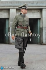 Presale DID D80194 1/6 WWII German Wehrmacht Officer Otto Remer Action Figure