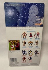 Masters of The Universe Frozen Teela Super 7 Filmation As Seen On TV 2019 MOC