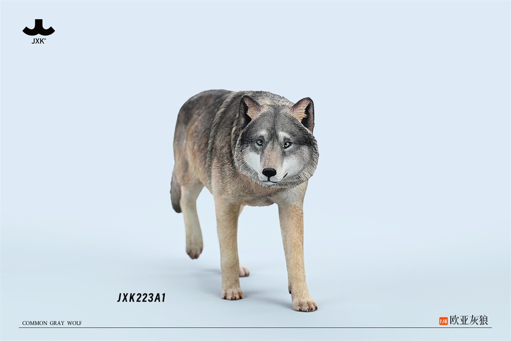 JXK 1/6 Common Gray Wolf Model Collections Animal Figure Decor Toys Xmas Gift