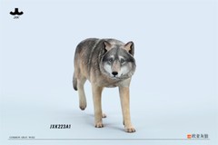 JXK 1/6 Common Gray Wolf Model Collections Animal Figure Decor Toys Xmas Gift