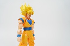 S.H.Figuarts Super Saiyan Son Goku 1.0 Dragon Ball Z 2010 Bandai