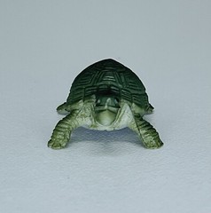 Lot Of 10 Turtles Hard Plastic And Rubber