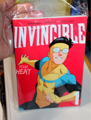 Invincible 20 years Book & Figure Box Set Exclusive Flight Stand Diamond Select
