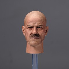1/6 Bryan Cranston Heisenberg Teacher Male Head Sculpt Model 12in Action Figures