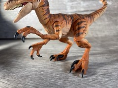 Amber Collection Velociraptor The Lost World Jurassic Park