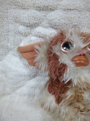 VTG 1984 Gremlins Gizmo Squeaks Hasbro WB Mogwai RARE No Tags Plush
