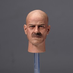 1/6 Bryan Cranston Heisenberg Teacher Head Sculpt Model Fit 12” Action Figure B