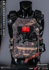 DAMTOYS 78073 1/6 PLA Navy Marine Corps Combat Frogman Special Forces In Stock