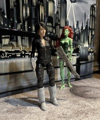 Talia al Ghul Custom Action Figure, Bonus Poison Ivy! 6” Batman Action Figures