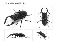 Bandai Capsule Toy Creature Encyclopedia Kuwagata/Stag Beetle 03 Full Set of 5!