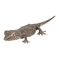Creature Encyclopedia Japanese Gecko & Bearded Dragon Set of 5 Bandai Gashapon